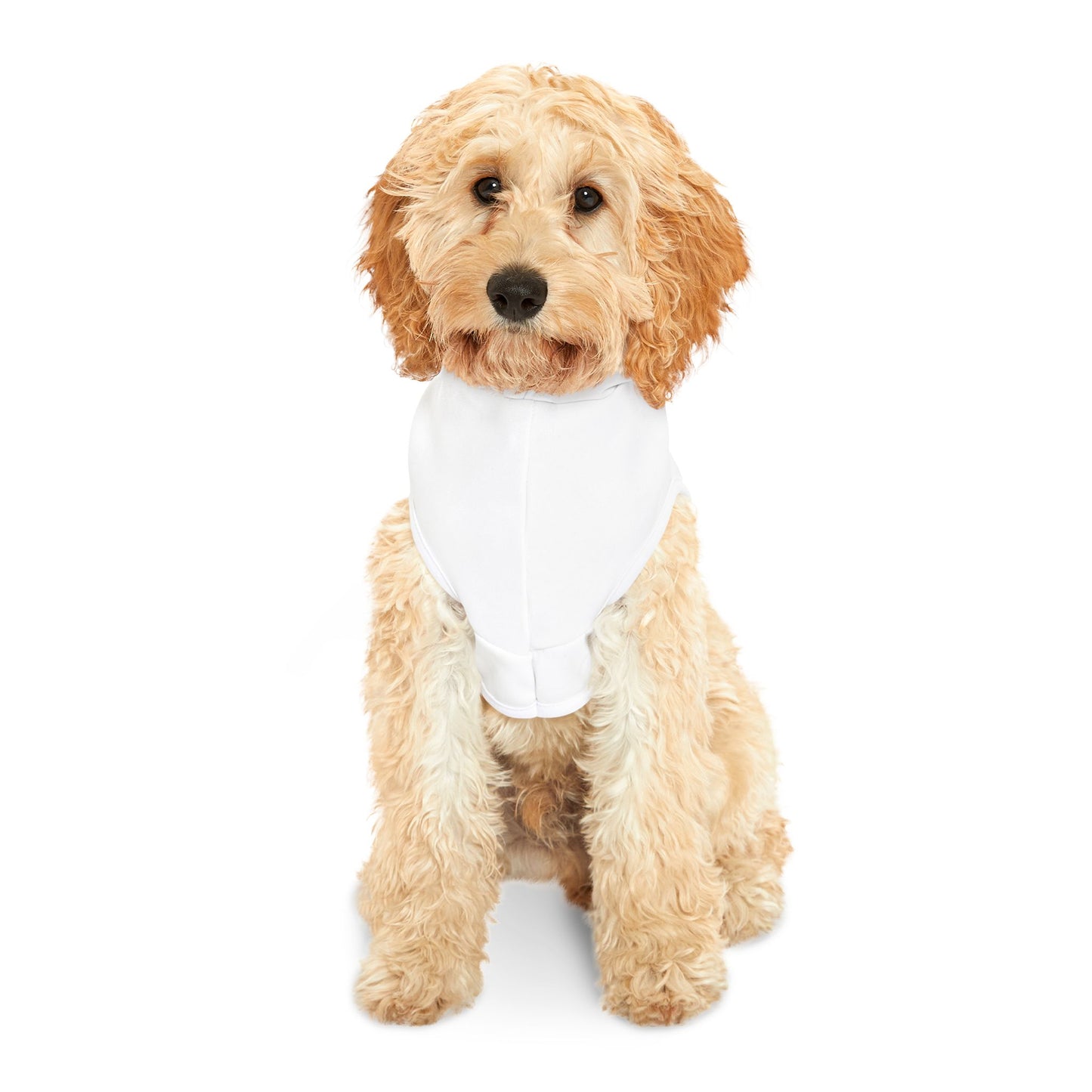 Stylish Pet Hoodie for Dogs, Cozy Pet Apparel for All Seasons, Perfect for Walks, Holidays and Pet Parties, Deganation Design