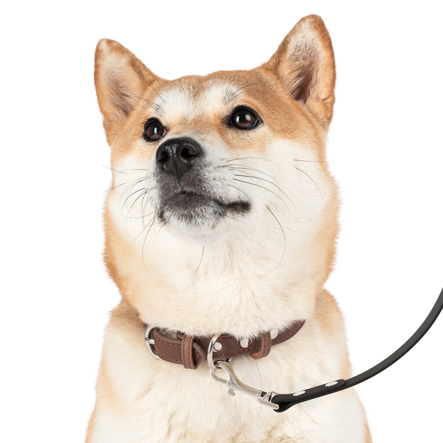 Stylish Dog Leash, Pet Walking Gear, Customizable Leash, Perfect Gift for Pet Lovers, Dog Training Accessories, Outdoor Adventure