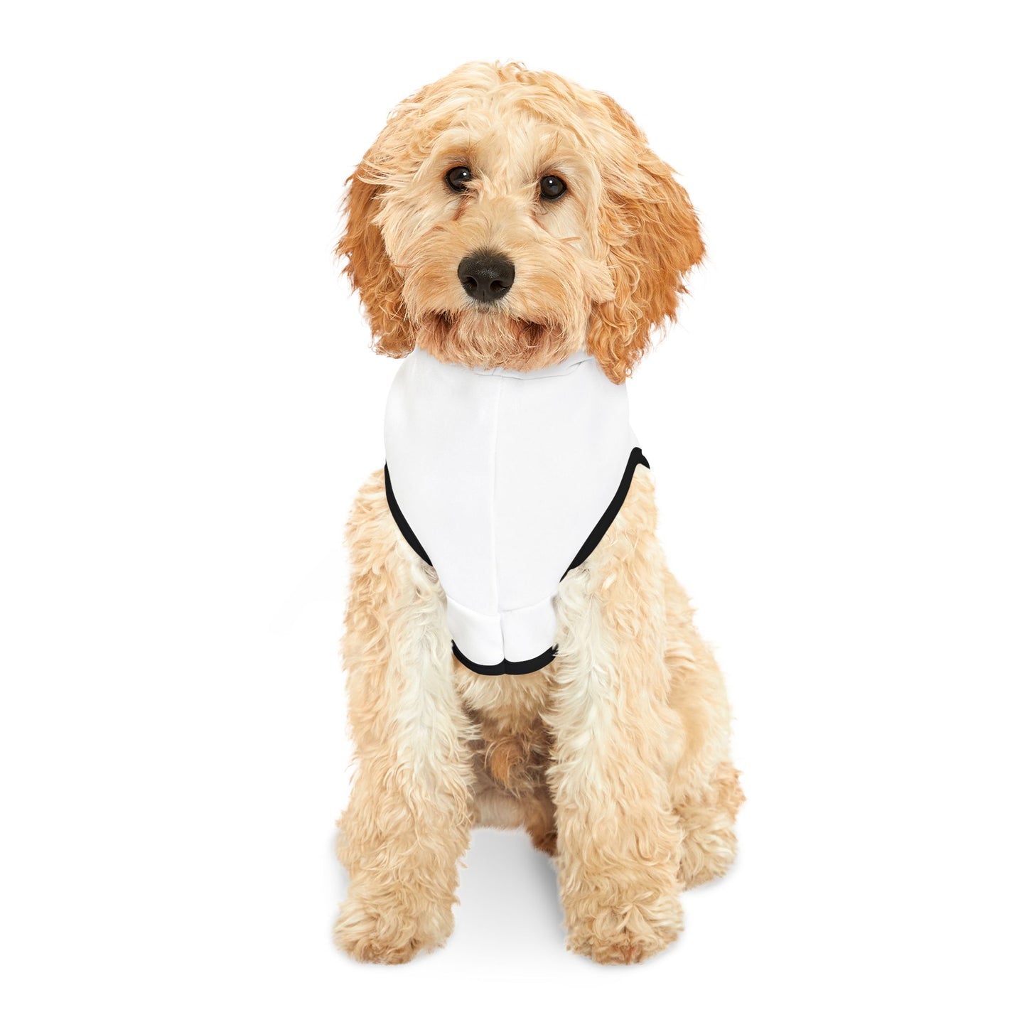 Stylish Pet Hoodie for Dogs, Cozy Pet Apparel for All Seasons, Perfect for Walks, Holidays and Pet Parties, Deganation Design