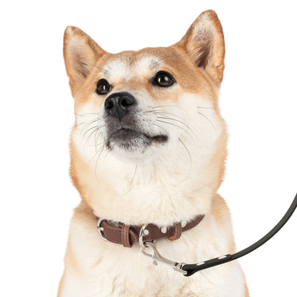 Stylish Dog Leash, Pet Walking Gear, Customizable Leash, Perfect Gift for Pet Lovers, Dog Training Accessories, Outdoor Adventure